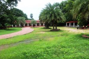 School Campus 